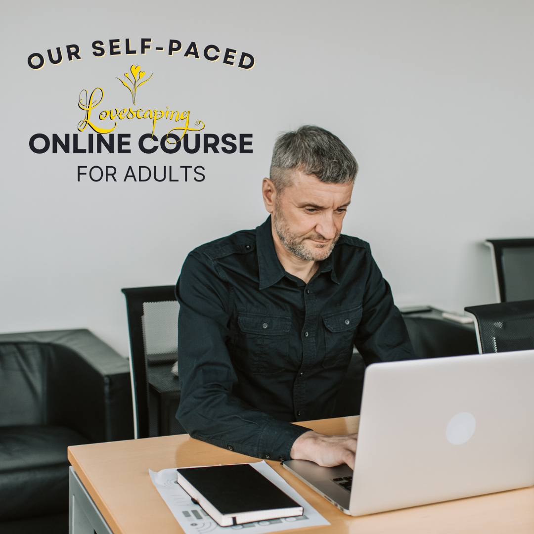 Cover of Online Course for Adults