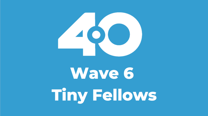 4.0 Tiny Fellows