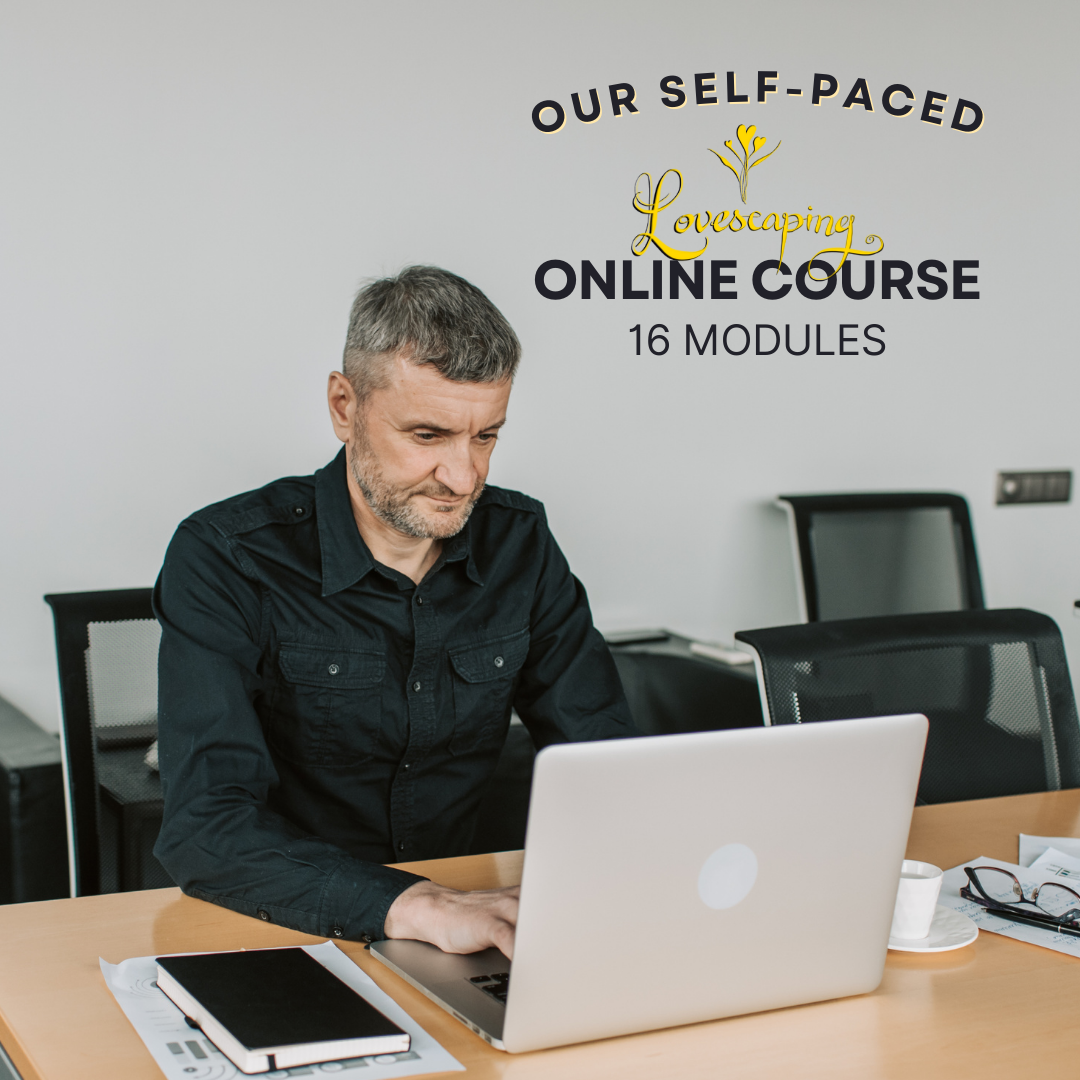 Univision Interview with Lovescaping